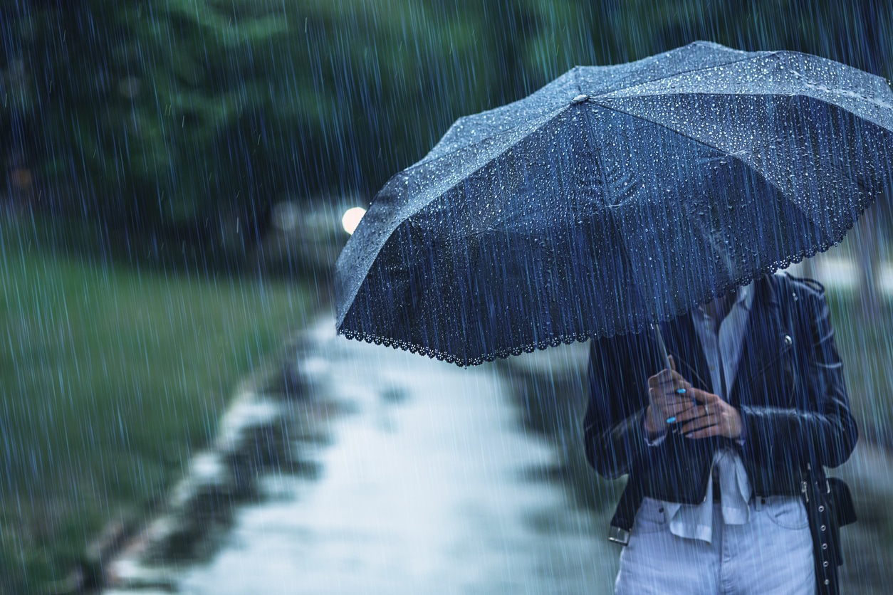A person holding an umbrella on a rainy day